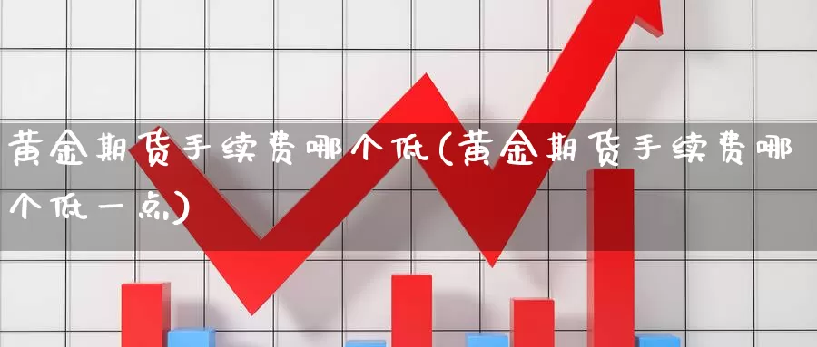 黄金期货手续费哪个低(黄金期货手续费哪个低一点)_https://www.wenchangxx.com_国际期货_第1张