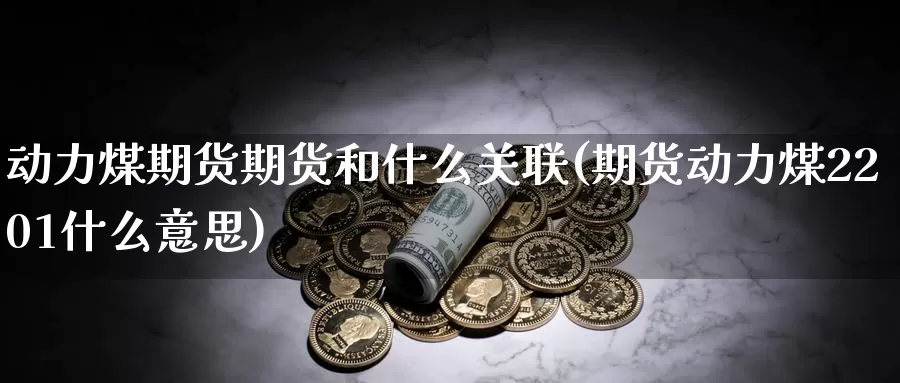 动力煤期货期货和什么关联(期货动力煤2201什么意思)_https://www.wenchangxx.com_期货行情_第1张