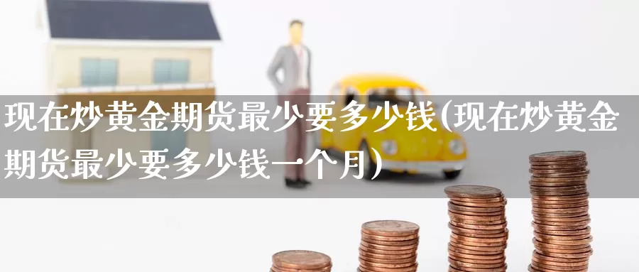 现在炒黄金期货最少要多少钱(现在炒黄金期货最少要多少钱一个月)_https://www.wenchangxx.com_期货行情_第1张