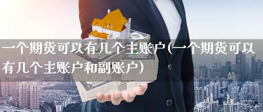 一个期货可以有几个主账户(一个期货可以有几个主账户和副账户)_https://www.wenchangxx.com_德指期货_第1张
