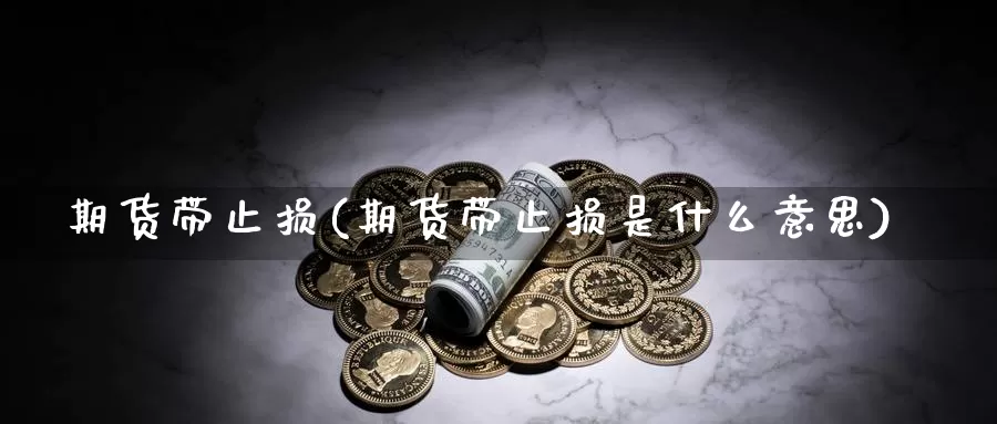 期货带止损(期货带止损是什么意思)_https://www.wenchangxx.com_国际期货_第1张