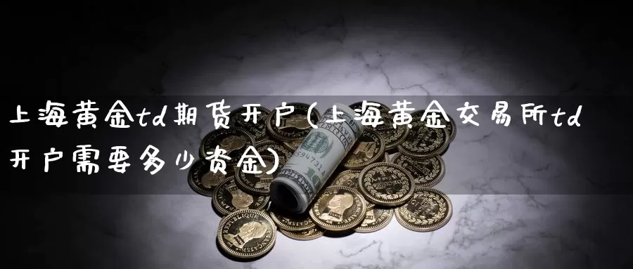 上海黄金td期货开户(上海黄金交易所td开户需要多少资金)_https://www.wenchangxx.com_期货平台_第1张