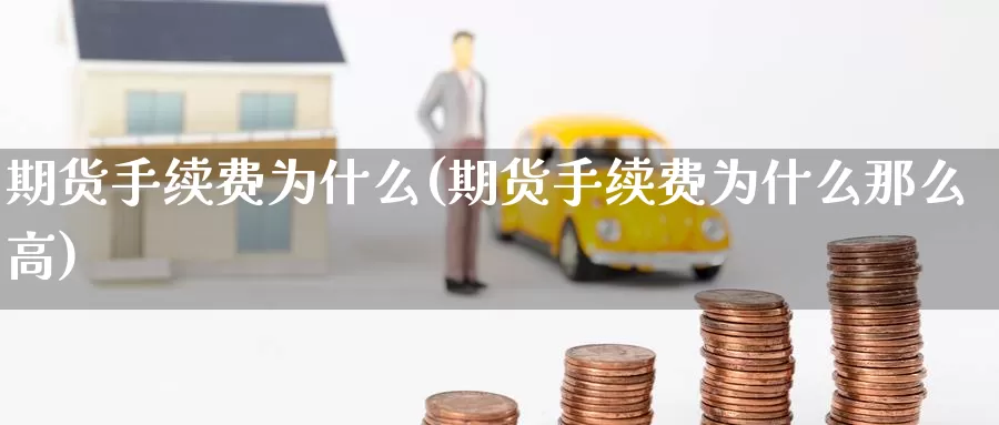 期货手续费为什么(期货手续费为什么那么高)_https://www.wenchangxx.com_德指期货_第1张