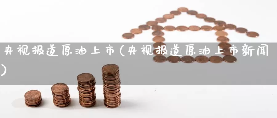 央视报道原油上市(央视报道原油上市新闻)_https://www.wenchangxx.com_国际期货_第1张