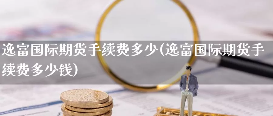 逸富国际期货手续费多少(逸富国际期货手续费多少钱)_https://www.wenchangxx.com_国际期货_第1张