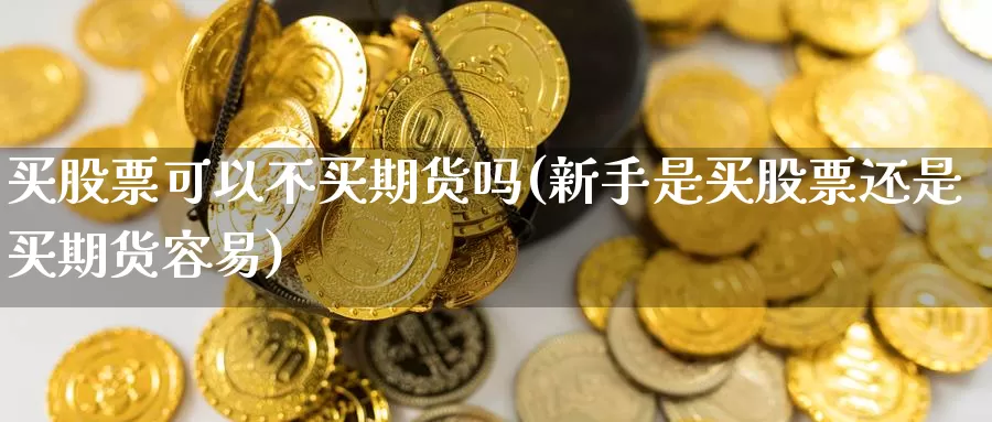 买股票可以不买期货吗(新手是买股票还是买期货容易)_https://www.wenchangxx.com_德指期货_第1张