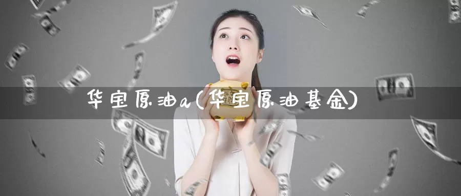 华宝原油a(华宝原油基金)_https://www.wenchangxx.com_德指期货_第1张