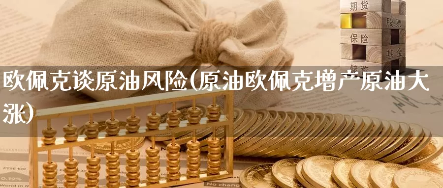 欧佩克谈原油风险(原油欧佩克增产原油大涨)_https://www.wenchangxx.com_国际期货_第1张