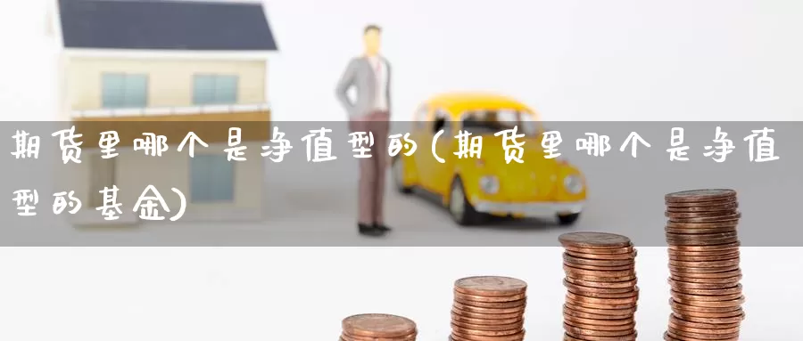 期货里哪个是净值型的(期货里哪个是净值型的基金)_https://www.wenchangxx.com_期货平台_第1张