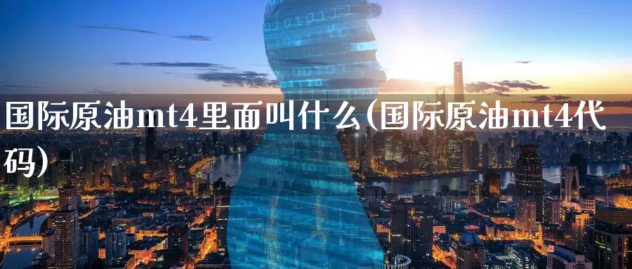 国际原油mt4里面叫什么(国际原油mt4代码)_https://www.wenchangxx.com_期货平台_第1张