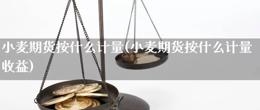 小麦期货按什么计量(小麦期货按什么计量收益)_https://www.wenchangxx.com_德指期货_第1张
