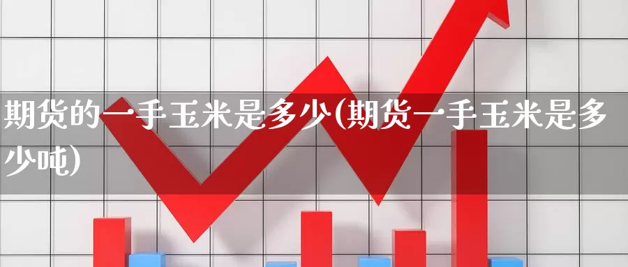 期货的一手玉米是多少(期货一手玉米是多少吨)_https://www.wenchangxx.com_期货行情_第1张