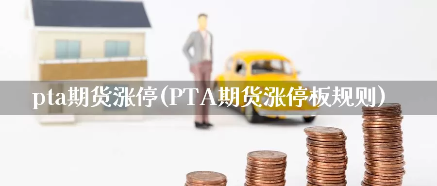 pta期货涨停(PTA期货涨停板规则)_https://www.wenchangxx.com_德指期货_第1张