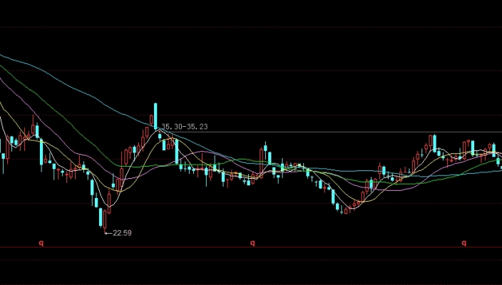交易所和会员单位头寸(交易所和会员单位头寸的区别)_https://www.wenchangxx.com_期货平台_第1张