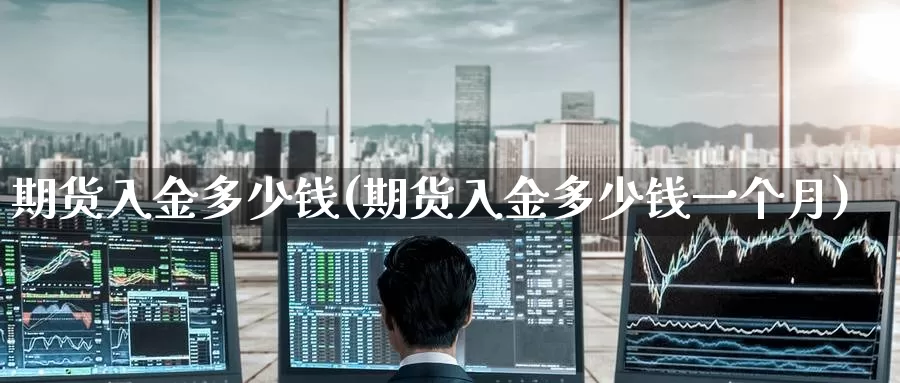 期货入金多少钱(期货入金多少钱一个月)_https://www.wenchangxx.com_期货平台_第1张