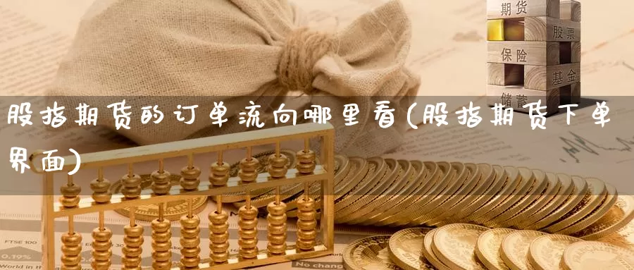 股指期货的订单流向哪里看(股指期货下单界面)_https://www.wenchangxx.com_德指期货_第1张