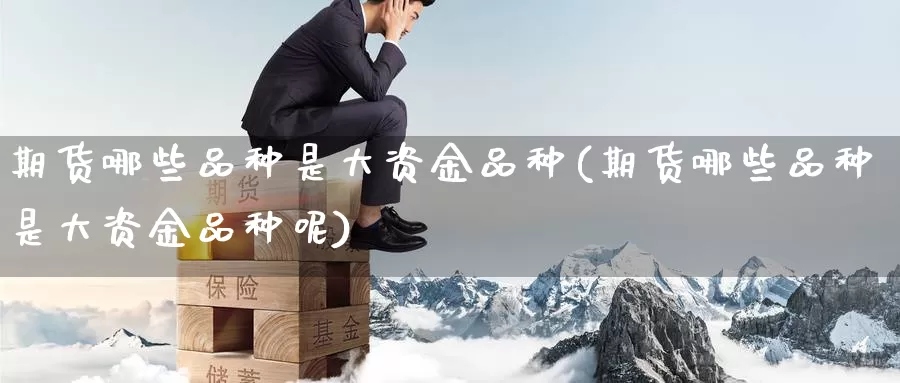 期货哪些品种是大资金品种(期货哪些品种是大资金品种呢)_https://www.wenchangxx.com_国际期货_第1张