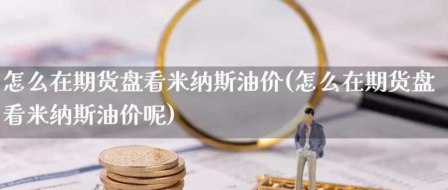 怎么在期货盘看米纳斯油价(怎么在期货盘看米纳斯油价呢)_https://www.wenchangxx.com_德指期货_第1张