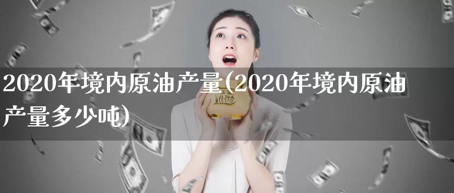 2020年境内原油产量(2020年境内原油产量多少吨)_期货行情_第1张_国际期货交易平台 2020年境内原油产量(2020年境内原油产量多少吨)_https://www.wenchangxx.com_期货行情_第1张