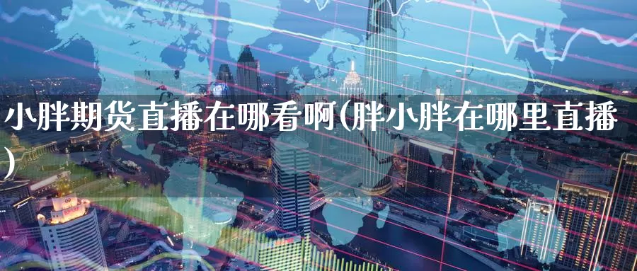 小胖期货直播在哪看啊(胖小胖在哪里直播)_https://www.wenchangxx.com_期货平台_第1张