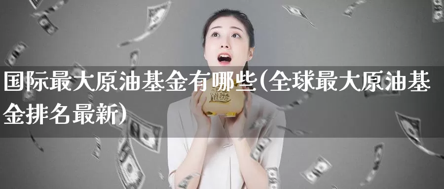 国际最大原油基金有哪些(全球最大原油基金排名最新)_https://www.wenchangxx.com_德指期货_第1张