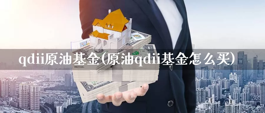 qdii原油基金(原油qdii基金怎么买)_https://www.wenchangxx.com_国际期货_第1张
