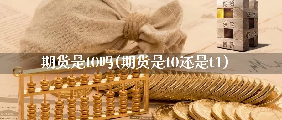期货是t0吗(期货是t0还是t1)_https://www.wenchangxx.com_期货平台_第1张