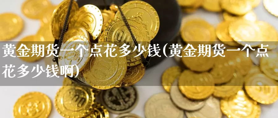 黄金期货一个点花多少钱(黄金期货一个点花多少钱啊)_https://www.wenchangxx.com_国际期货_第1张