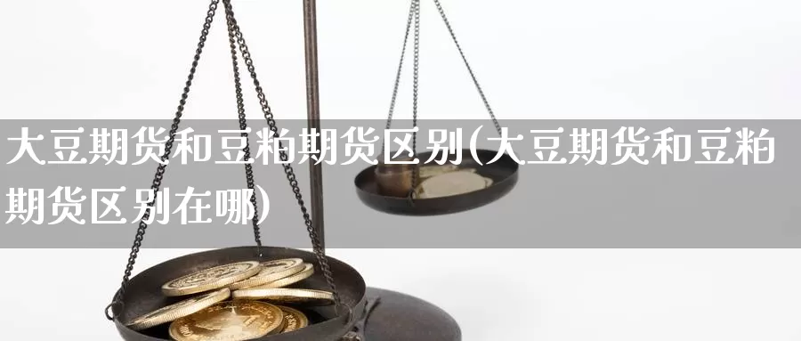 大豆期货和豆粕期货区别(大豆期货和豆粕期货区别在哪)_https://www.wenchangxx.com_期货平台_第1张