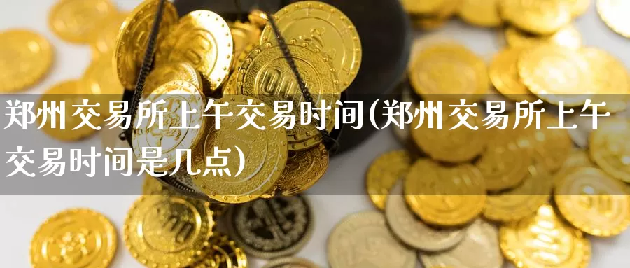 郑州交易所上午交易时间(郑州交易所上午交易时间是几点)_https://www.wenchangxx.com_德指期货_第1张