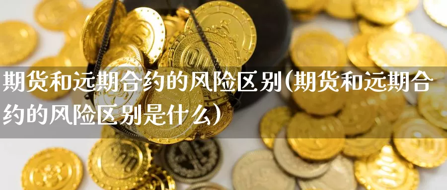 期货和远期合约的风险区别(期货和远期合约的风险区别是什么)_https://www.wenchangxx.com_期货平台_第1张