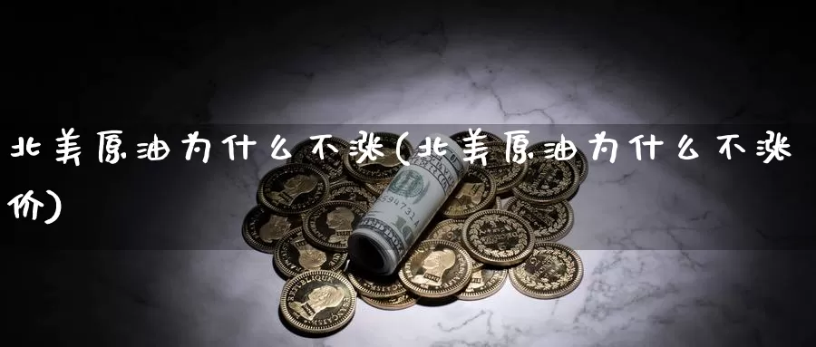 北美原油为什么不涨(北美原油为什么不涨价)_https://www.wenchangxx.com_德指期货_第1张