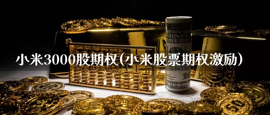 小米3000股期权(小米股票期权激励)_https://www.wenchangxx.com_期货行情_第1张