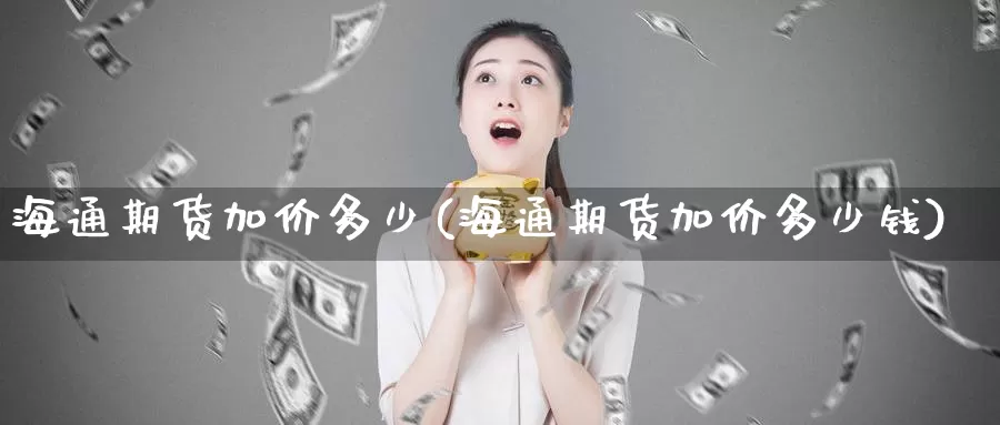 海通期货加价多少(海通期货加价多少钱)_https://www.wenchangxx.com_期货行情_第1张