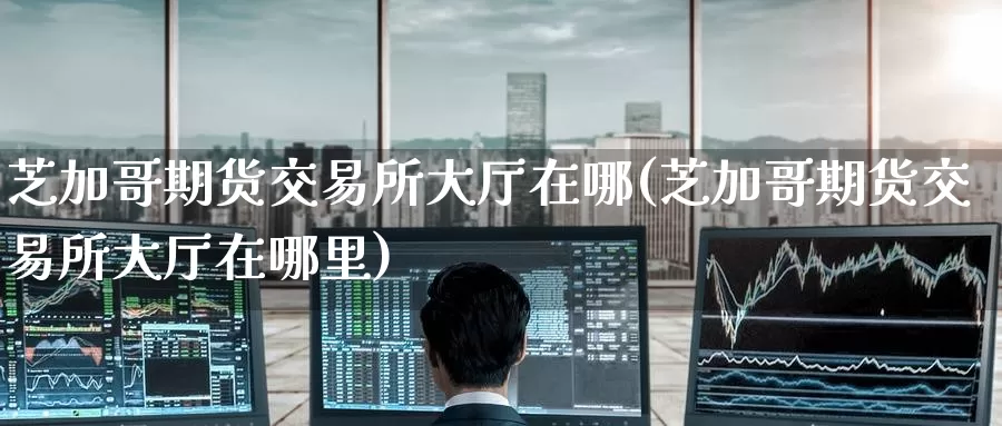 芝加哥期货交易所大厅在哪(芝加哥期货交易所大厅在哪里)_https://www.wenchangxx.com_期货平台_第1张