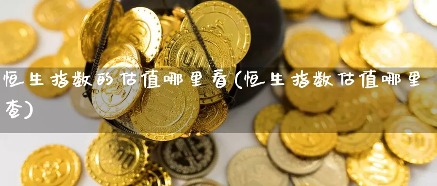 恒生指数的估值哪里看(恒生指数估值哪里查)_https://www.wenchangxx.com_德指期货_第1张
