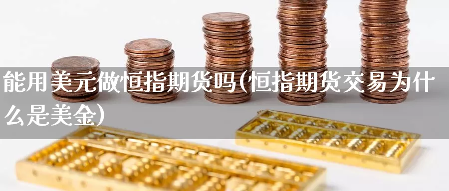 能用美元做恒指期货吗(恒指期货交易为什么是美金)_https://www.wenchangxx.com_期货平台_第1张