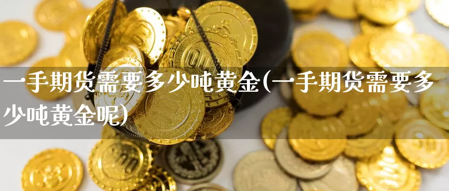 一手期货需要多少吨黄金(一手期货需要多少吨黄金呢)_https://www.wenchangxx.com_期货行情_第1张