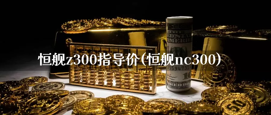恒舰z300指导价(恒舰nc300)_https://www.wenchangxx.com_国际期货_第1张