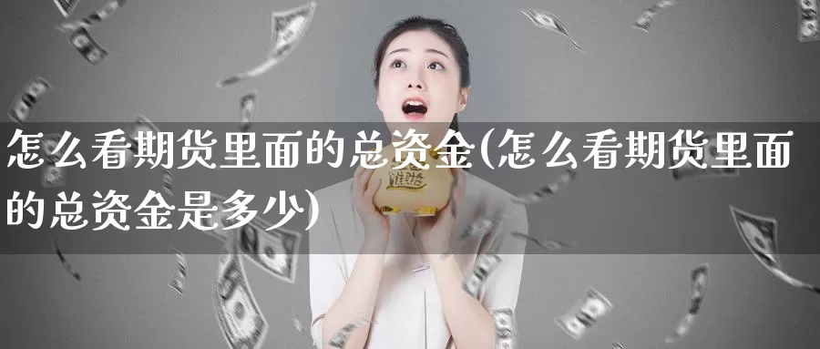 怎么看期货里面的总资金(怎么看期货里面的总资金是多少)_https://www.wenchangxx.com_期货行情_第1张