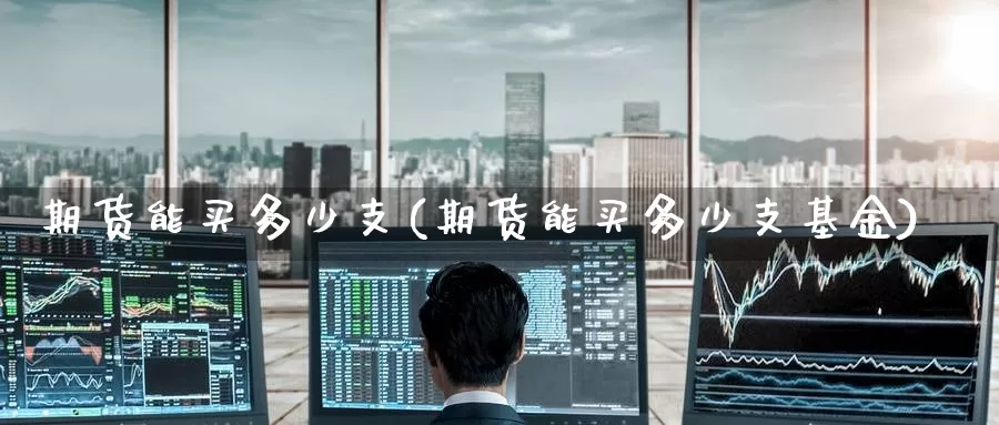 期货能买多少支(期货能买多少支基金)_https://www.wenchangxx.com_德指期货_第1张